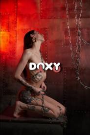 Фотография номер 7 - Лиса, 24 года