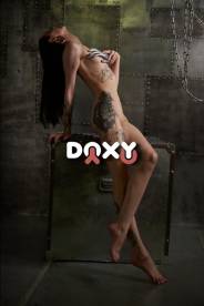 Фотография номер 9 - Лиса, 24 года