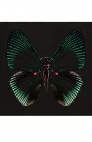 Проститутка Дианчик, тел. 8 (902) 445-0881